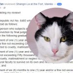 NB-cats5