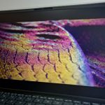 Asus-ZenBook-14-Display