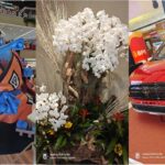 sample photos